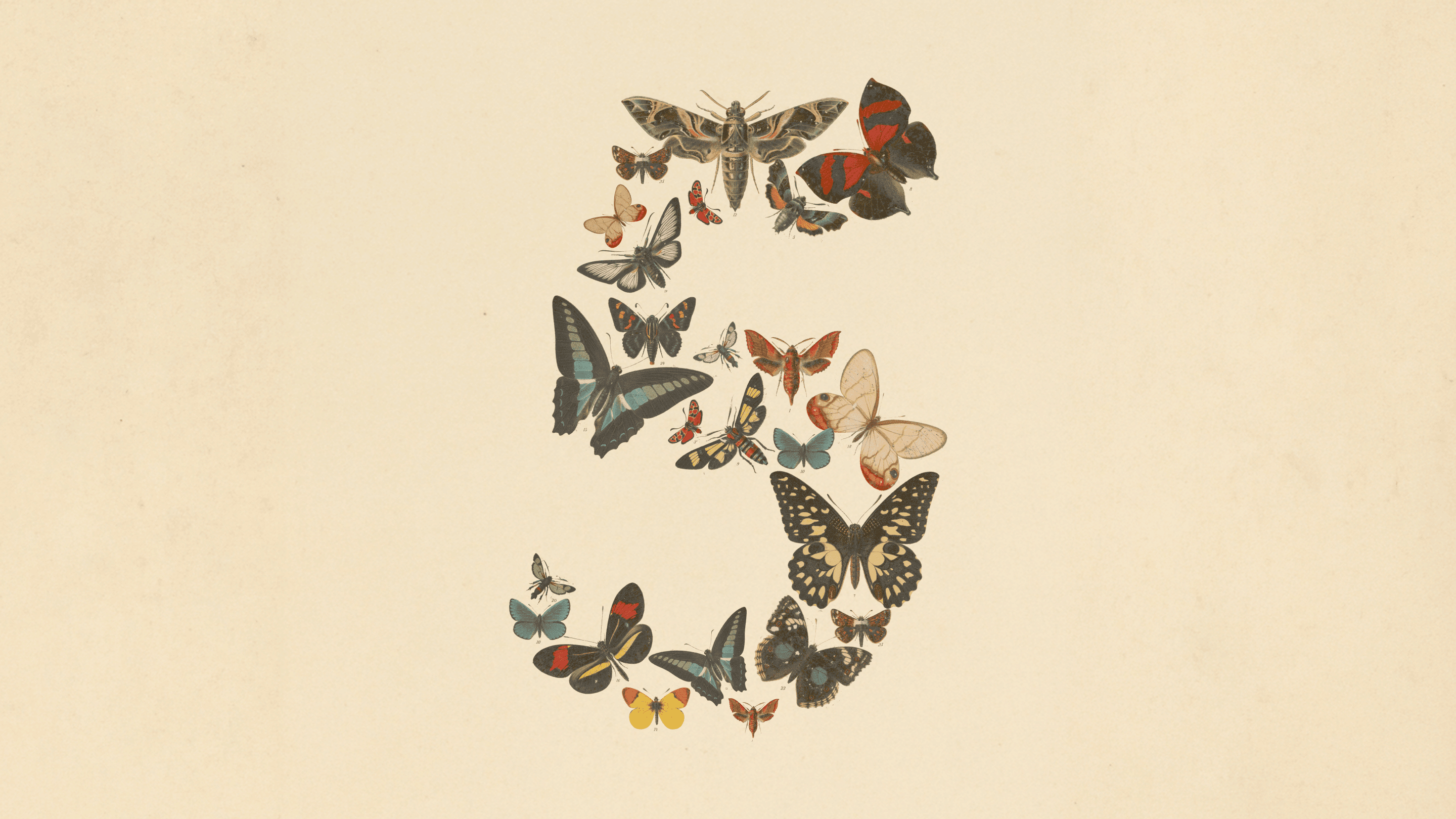 Lancement de Claude Fable 5 et Mythos 5 par Anthropic